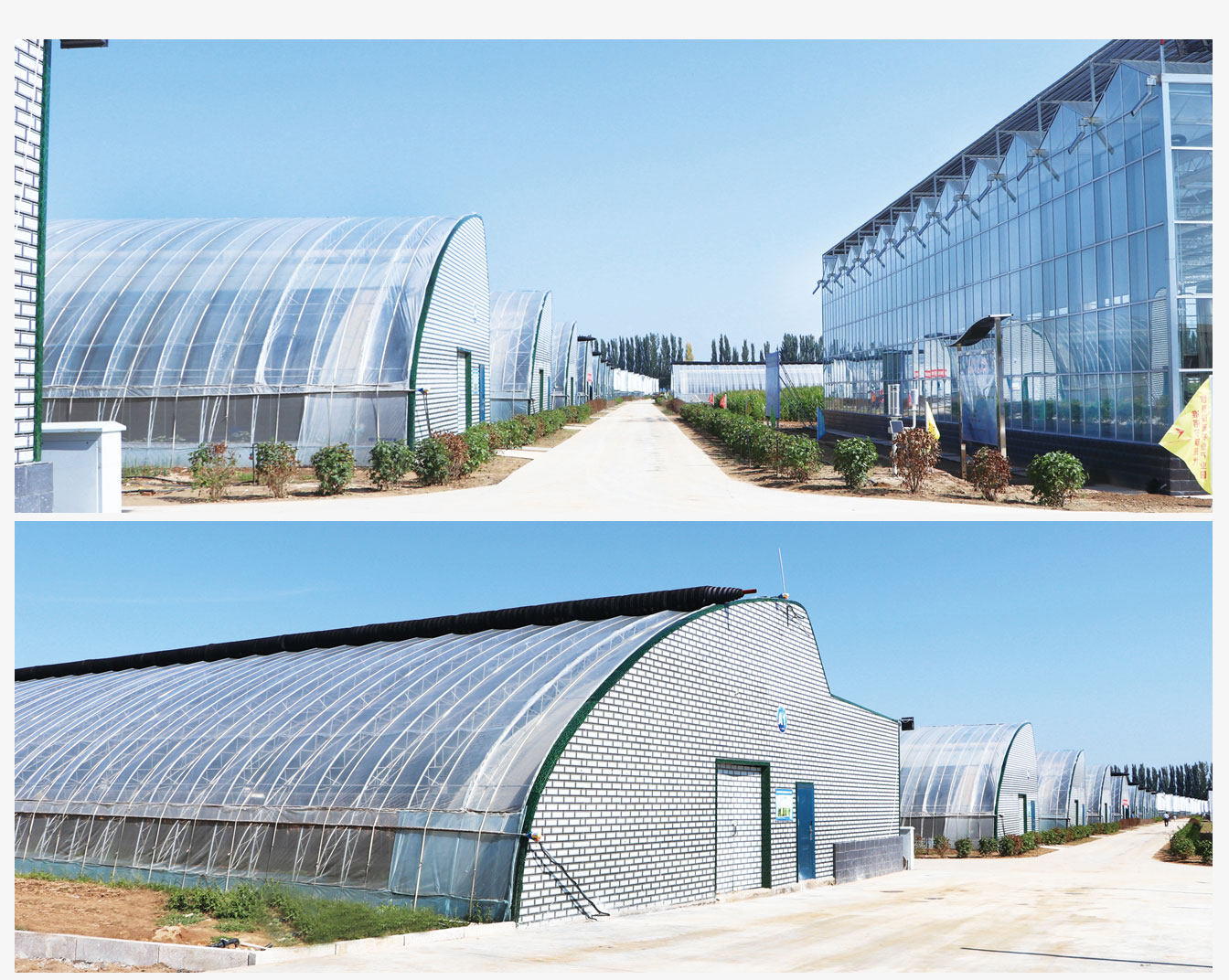 0e4aae4c82338bd4f95ff0a10f42d19c_6386183808692702151985693.jpg 0e4aae4c82338bd4f95ff0a10f42d19c_6386183808692702151985693.jpg