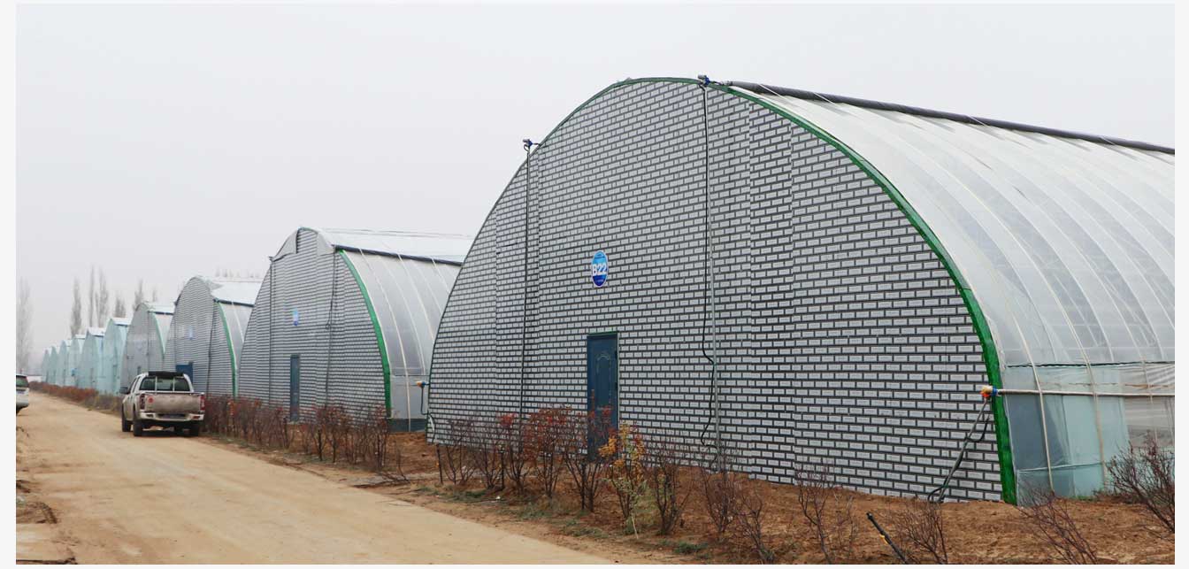 準格爾旗現代智慧設施農業產業園(網頁)_24.jpg 準格爾旗現代智慧設施農業產業園(網頁)_24.jpg