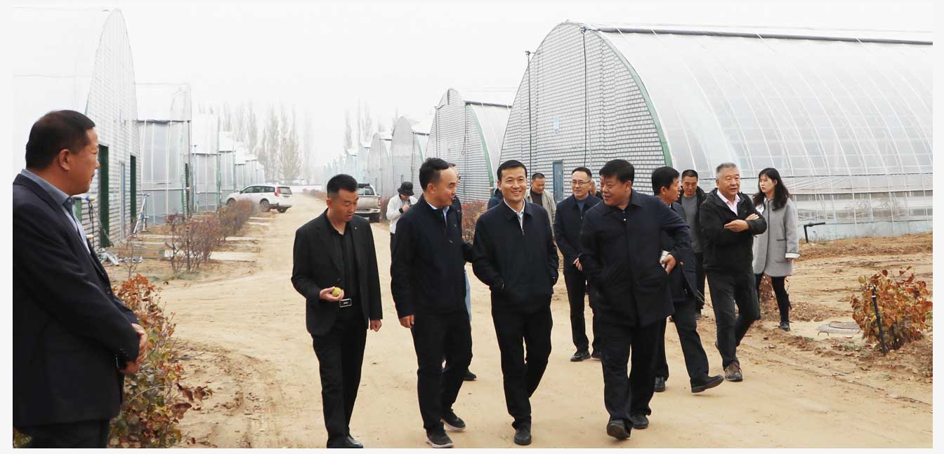 準格爾旗現代智慧設施農業產業園(網頁)_27.jpg 準格爾旗現代智慧設施農業產業園(網頁)_27.jpg