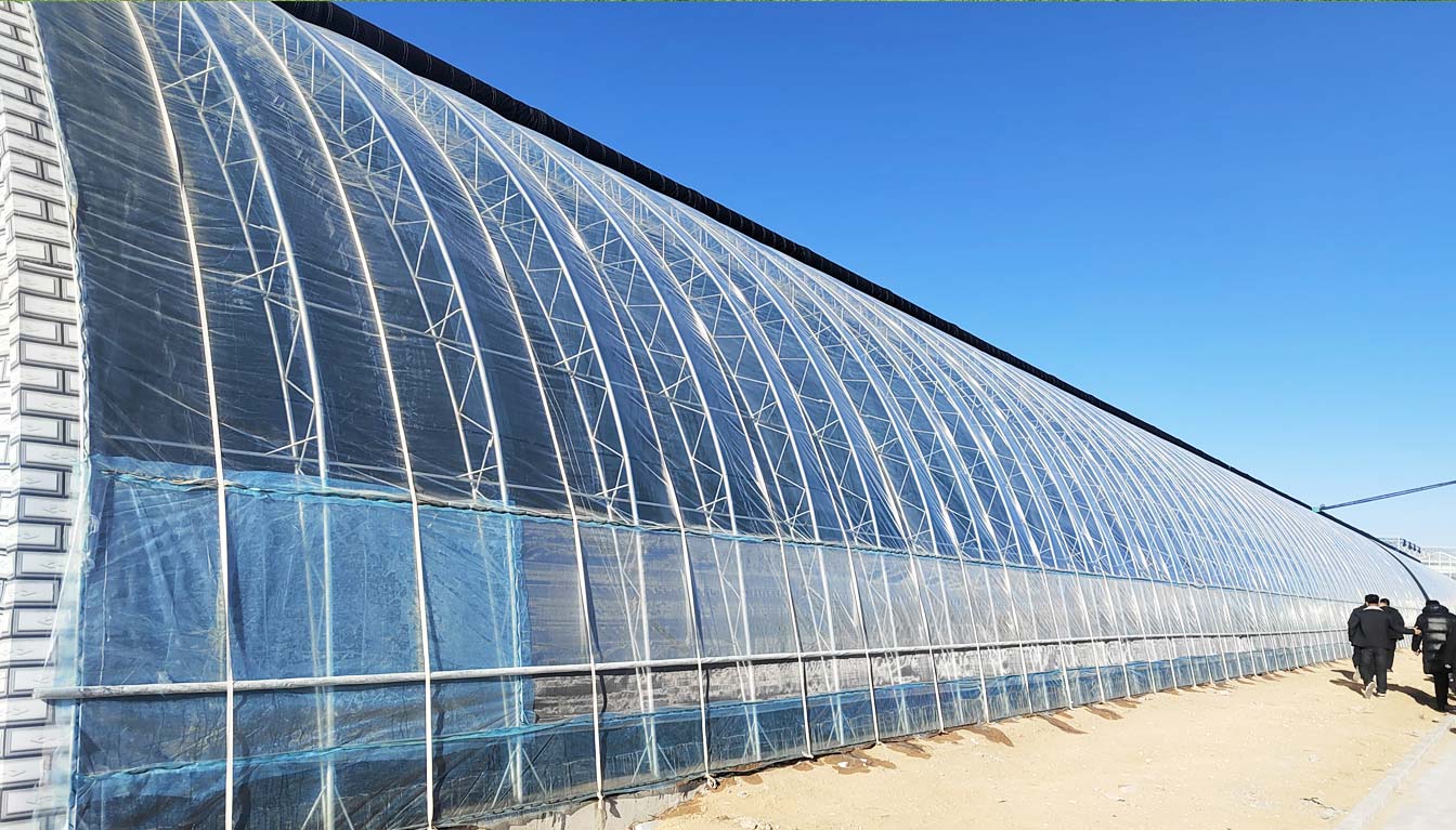 大路鎮苗家灘社區項目-智能溫室、日光溫室建設項目_08.jpg 大路鎮苗家灘社區項目-智能溫室、日光溫室建設項目_08.jpg