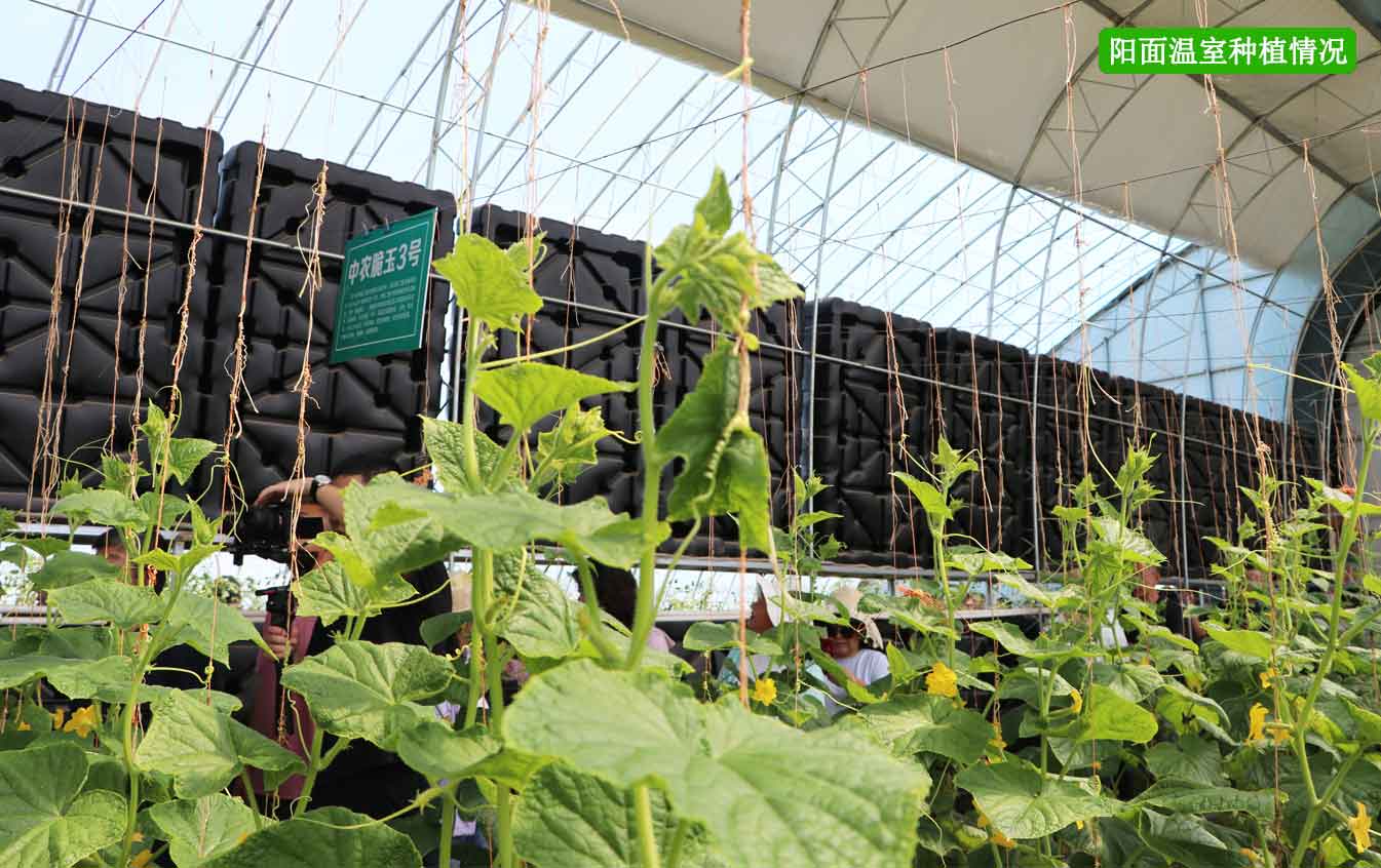 2、四季溫室網(wǎng)頁_12.jpg