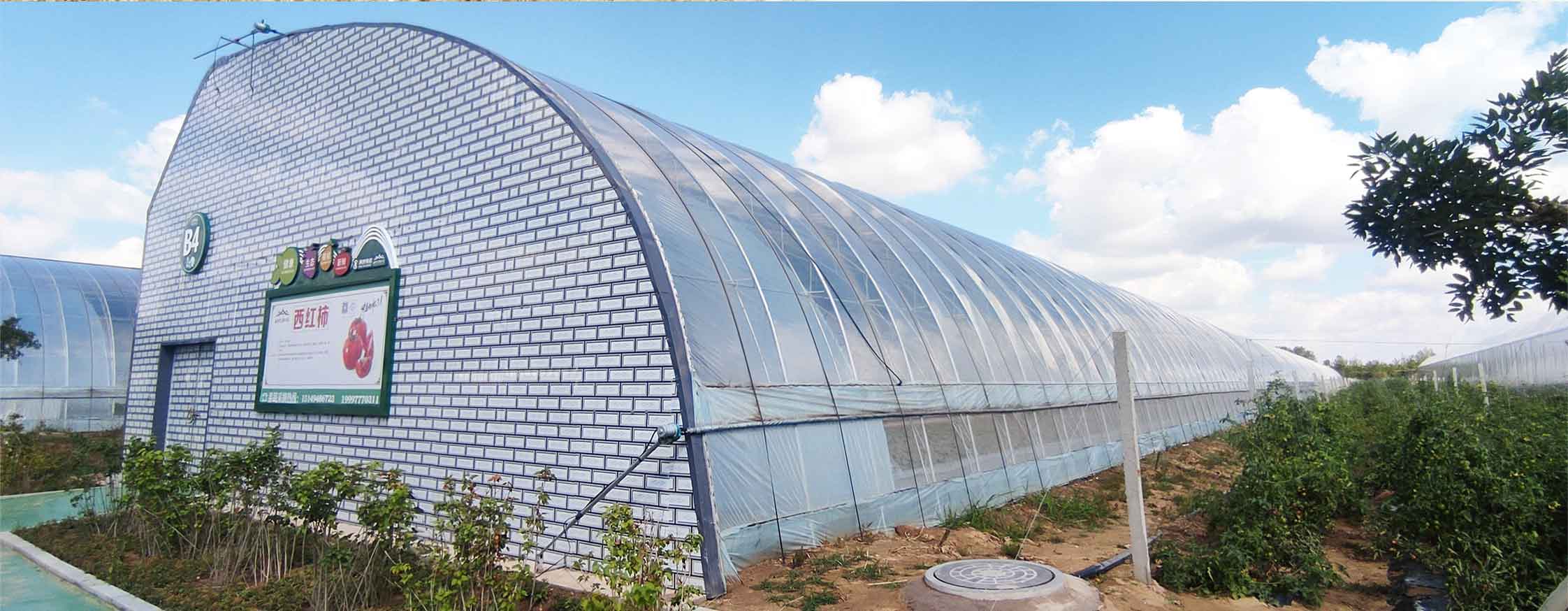 2、直墻溫室網頁_10.jpg 2、直墻溫室網頁_10.jpg