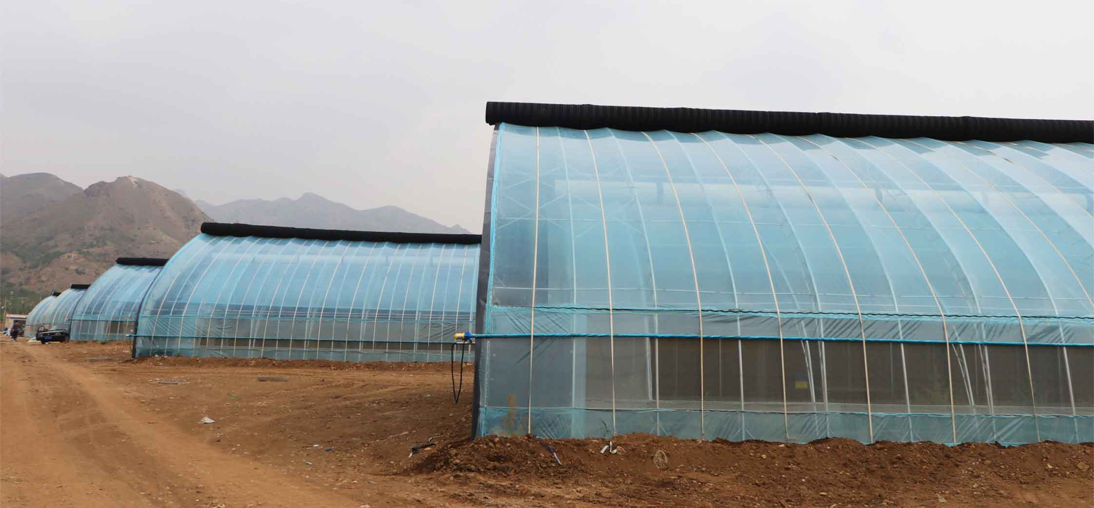 2、弧形溫室網(wǎng)頁_09.jpg 2、弧形溫室網(wǎng)頁_09.jpg