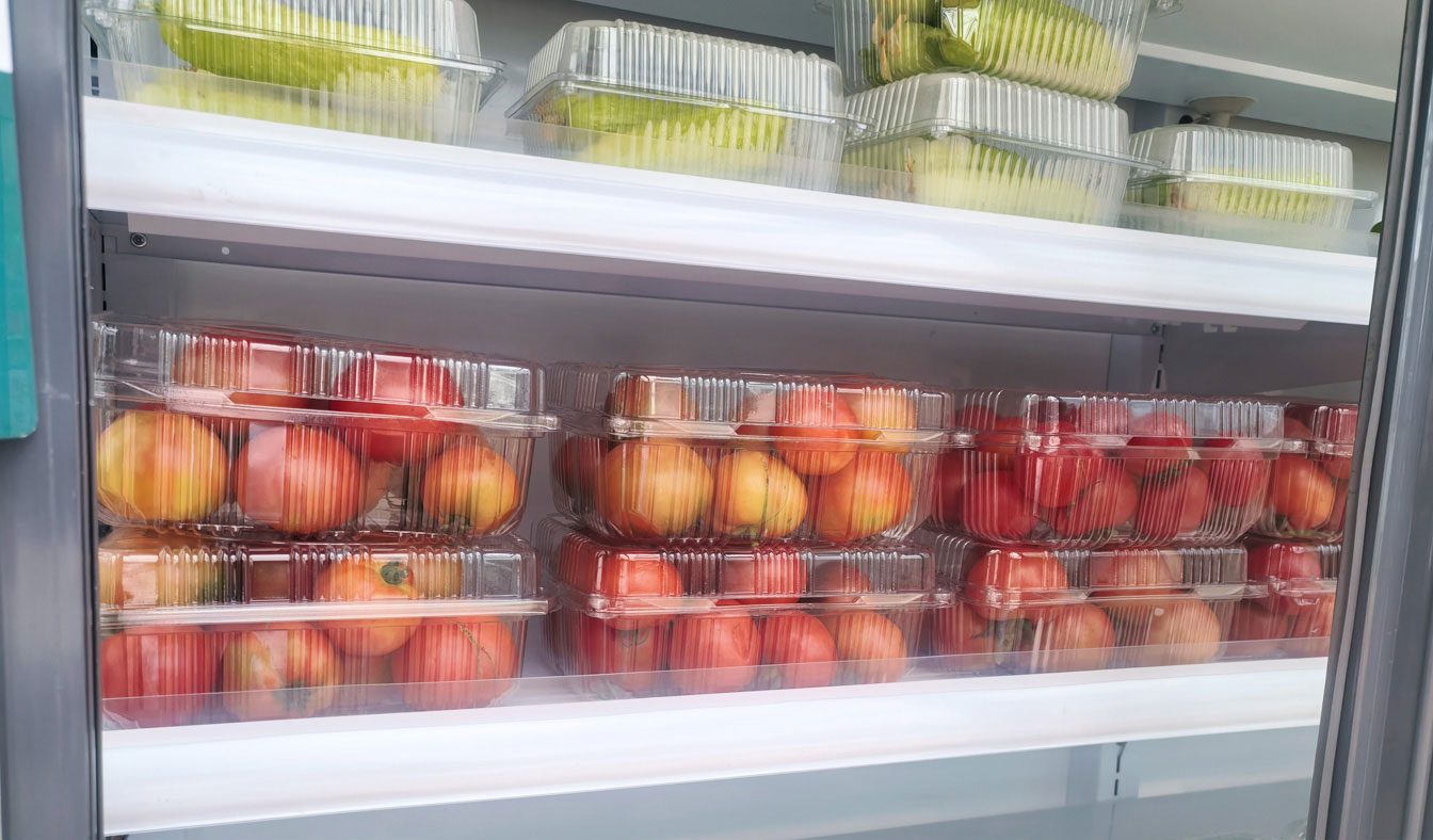 自治區綠色優質果蔬展銷中心psd-恢復的_16.jpg 自治區綠色優質果蔬展銷中心psd-恢復的_16.jpg