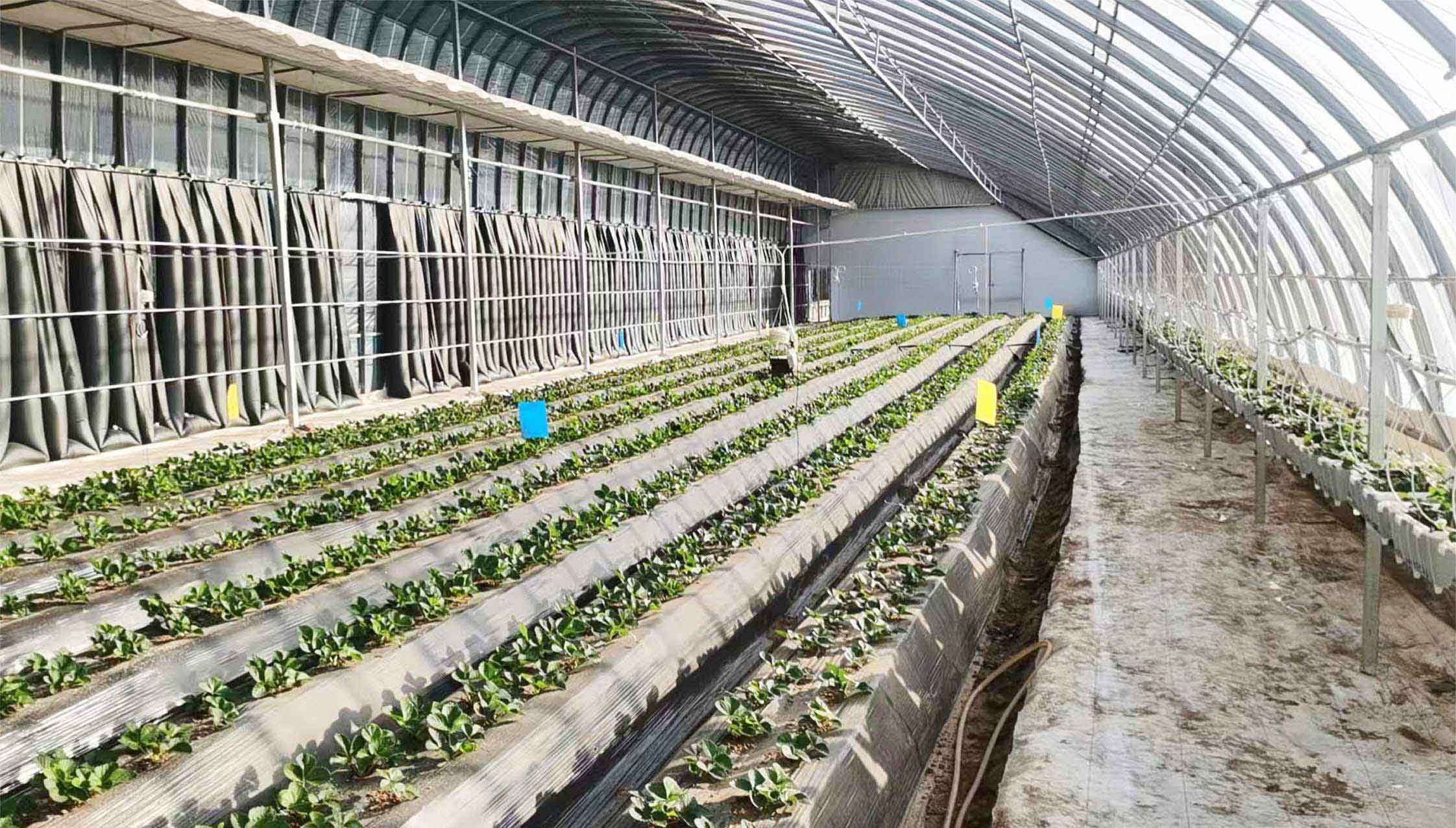 2、全天候四季溫室網頁_13.jpg 2、全天候四季溫室網頁_13.jpg